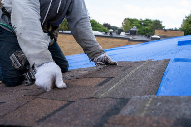 Professional Roofing Contractor in Greenville, OH