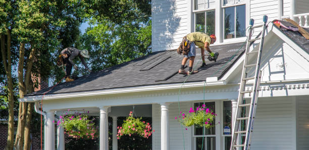 Best Roof Gutter Cleaning  in Greenville, OH